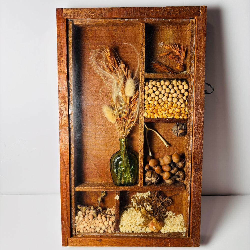 Vintage 1970s Handmade‎ Rectangle Farmhouse Shadow Box Seeds Flowers Collage MCM